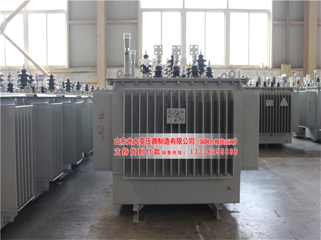 咸宁S22-4000KVA油浸式变压器